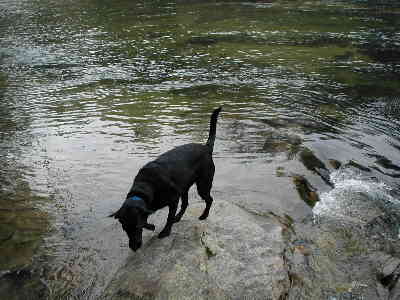 Jet takes a "water break".