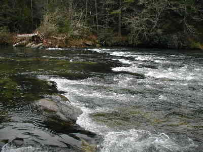 A typical view of the river!