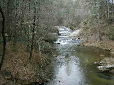 There are many nice views of Panther Creek all along the trail.