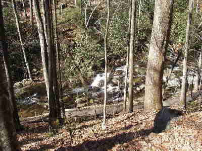 The nice woodland trail is moderately easy as it proceeds 5 miles to the falls.
