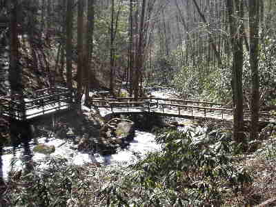 As you approach Anna Ruby Falls, there is a nice observation deck and bridge.
