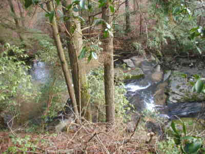 Early in the hike, we pass by some nice views of Dick's Creek.