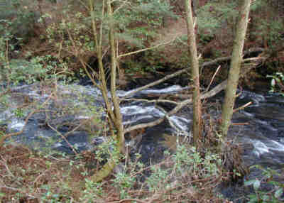 More nice rushing water!