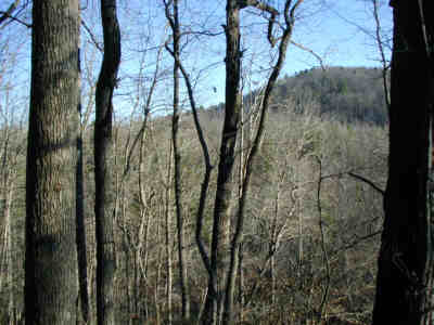 A beautiful day in the Mountains.