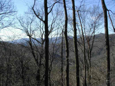 A typical view along the trail.