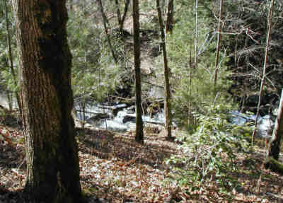 Looking down onto Smith Creek.