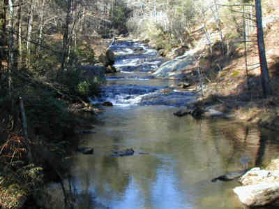 There are many nice views of Panther Creek all along the trail.