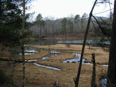 The upper end of Nancytown Lake.