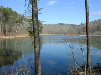 Nancytown Lake!
