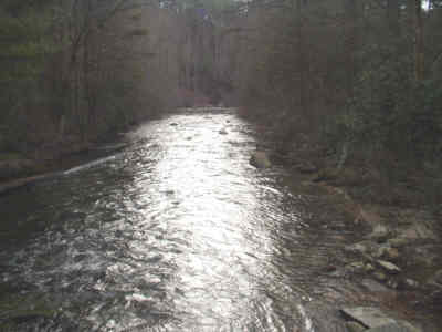 Looking from the bridge down the river.