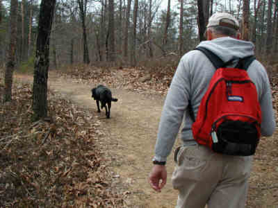 "Jet", the black Lab, led the way for the entire 10 miles!