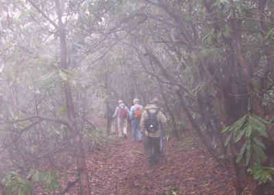 We head off into the fog!