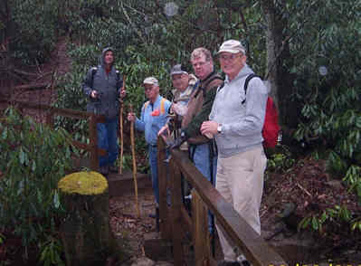 The Bartram trai is nicely maintained in this section with foot-bridges over each creek.