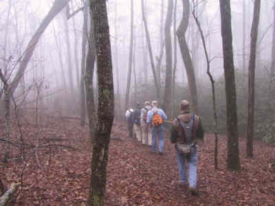 Views were very limited but it was still a beautiful day for a hike!.