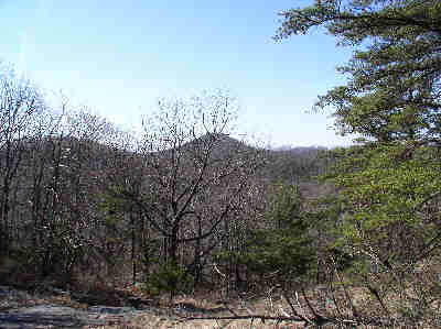 A view from the start of the Freeman Trail.