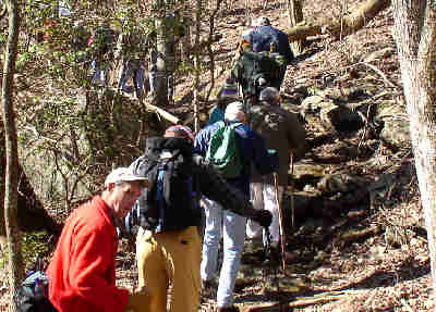 We had a nice large group of 16 hikers today!