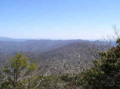 View 3