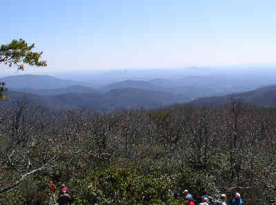 View 4
