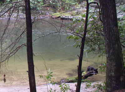 The Chattooga River Trail comes close to the river in several places.