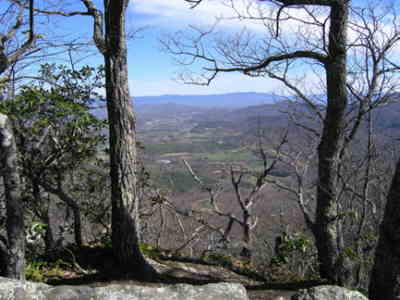 A typical trail-side view.