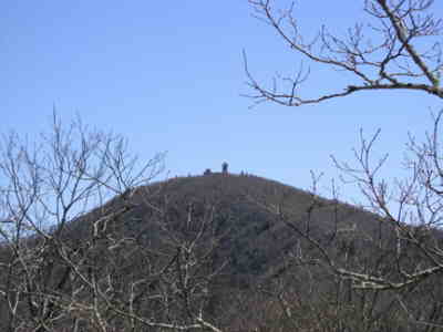 Near our lunch-spot, we get a nice view of Brasstown Bald.