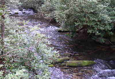 The trail from the Fish Hatchery followed the East Fork Chattooga River until it intersected the main river and the Chattooga River Trail.