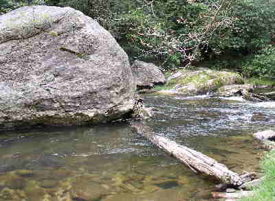 About 0.2 miles from Ellicott Rock, you will see this large boulder in the middle of the river.