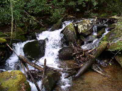 The Kimsey Creek Trail follows the creek for much of the way.