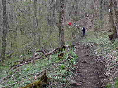 We joined the Appalachian Trail at Deep Gap and headed on up to Standing Indian.