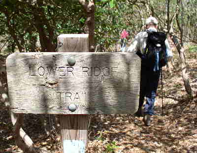 After lunch at the top, we work our way back down the Lower Ridge Trail.