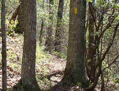 The Bartram Trail is marked with yellow blazes.