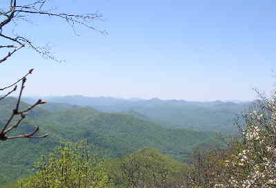 One of the Wolf Rock Overlook views.