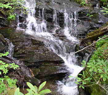 The first half-mile of the hike brought us by this nice little waterfalls.