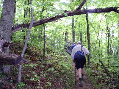 We head up the A.T. toward Plumorchard Gap.
