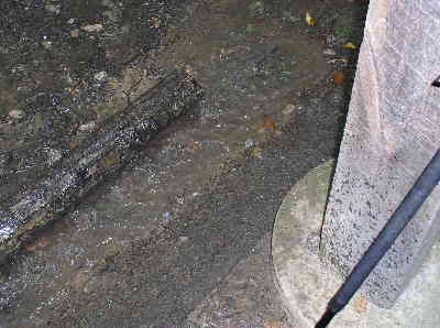 A heavy rain shower formed a creek on the front side of the shelter.