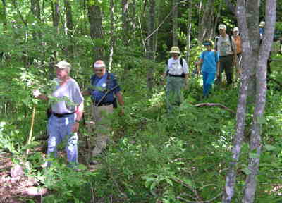 Our group of 12 heads south toward Muskrat Creek.