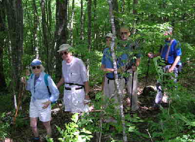 Most of today's portion of the A.T. is through lush woodland.