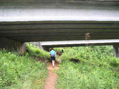 First, the trail goes under Hwy. 441.