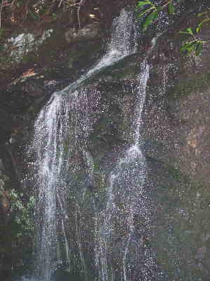 A nice refreshing waterfall a short distance off of the trail during the first half-mile.