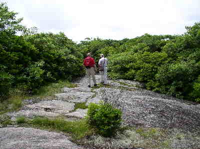 On top of Scaly, the trail is on solid rock for a good distance.