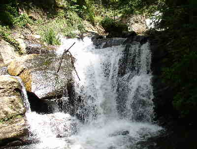 After the 1.1 mi. walk you will see the falls formed by Dodd Creek.