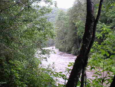 Most of today's portion of the trail offers nice views and sounds from the Chattooga River.