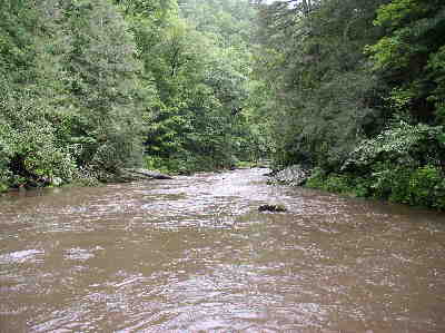 After heavy overnight rains, the river was very full and muddy.