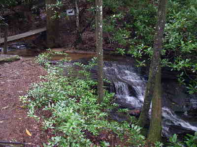 At about the 3 mile mark, we cross over a nice side-stream with small falls.