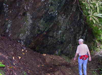 Here we pass by a large rock ledge with bright orange fungi growing beneath.
