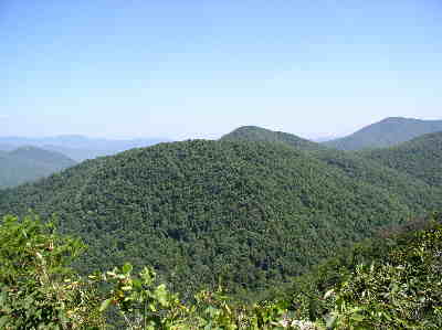 Great views from the summit of Pinnacle Mtn!