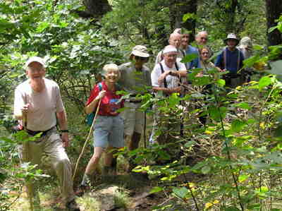 The typical lush hardwood forest along the GA section of the A.T.