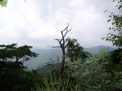 Nice mountain views along the way!