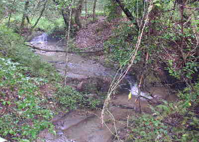 We cross several creeks along the way.