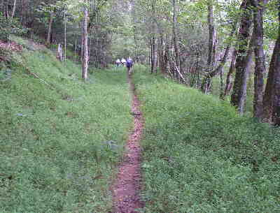 This portion of the Bartram Trail is well-maintained.